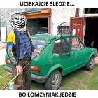 zdjęcie nr 15