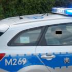 Fotka nr 5 z 11