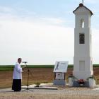 zdjęcie nr 17