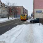 Fotka nr 5 z 6