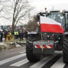 zdjęcie nr 17