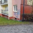 Fotka nr 1 z 6