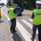 Fotka nr 2 z 7