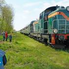 Fotka nr 5 z 27