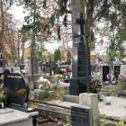 zdjęcie nr 16