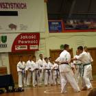 zdjęcie nr 11