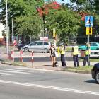 Fotka nr 3 z 8