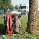 Fotka nr 5 z 9