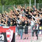 zdjęcie nr 19
