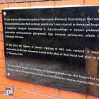 zdjęcie nr 23