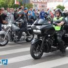 zdjęcie nr 10