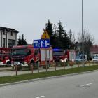 zdjęcie nr 9