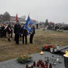 zdjęcie nr 12