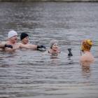 zdjęcie nr 13