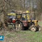 zdjęcie nr 7