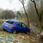 Fotka nr 2 z 12