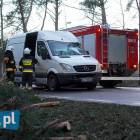Fotka nr 1 z 18