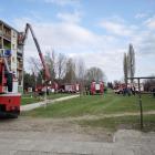 Fotka nr 2 z 25