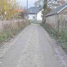 Fotka nr 5 z 6