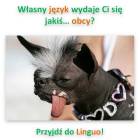 Fotka nr 1 z 4