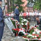 zdjęcie nr 12