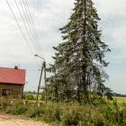 zdjęcie nr 9