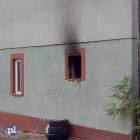 Fotka nr 3 z 8
