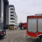 Fotka nr 2 z 5