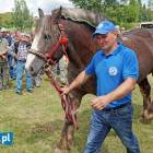 zdjęcie nr 29
