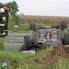 zdjęcie nr 7