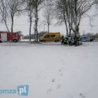 zdjęcie nr 12