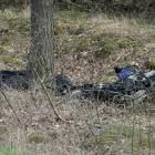Fotka nr 4 z 16