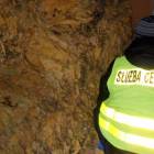 Fotka nr 3 z 4