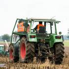 zdjęcie nr 119