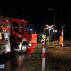 Fotka nr 4 z 12
