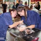 zdjęcie nr 10