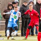 zdjęcie nr 12