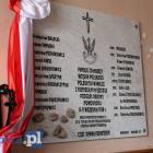 zdjęcie nr 9