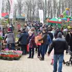 zdjęcie nr 16