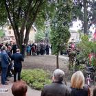 zdjęcie nr 53