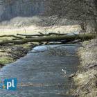 zdjęcie nr 25