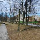 zdjęcie nr 14