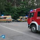 zdjęcie nr 9