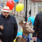 zdjęcie nr 12
