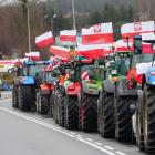zdjęcie nr 7