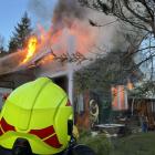 Fotka nr 2 z 11