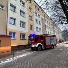 Fotka nr 1 z 4