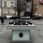 zdjęcie nr 7