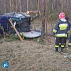 Fotka nr 2 z 4