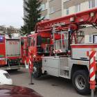 Fotka nr 4 z 12